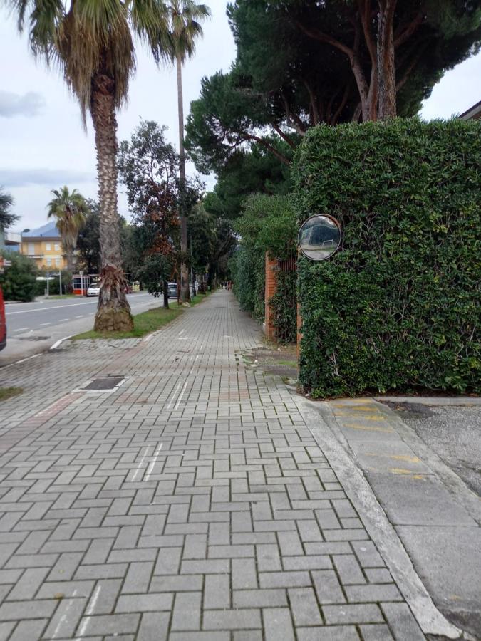 מרינה די מסה Bilocale Climatizzato A 850M Dalla Spiaggia Casa Katia מראה חיצוני תמונה