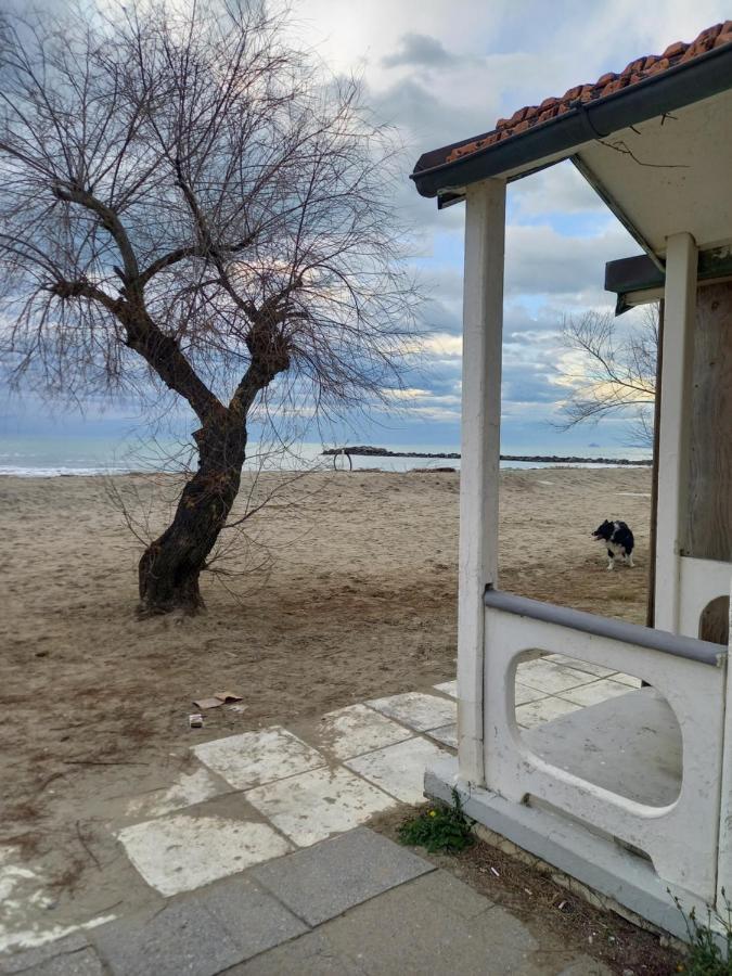 מרינה די מסה Bilocale Climatizzato A 850M Dalla Spiaggia Casa Katia מראה חיצוני תמונה